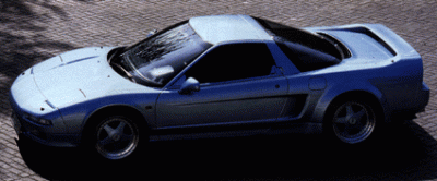 nsxme1.gif