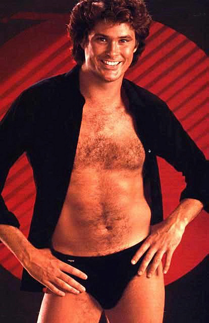 david_hasselhoff.png