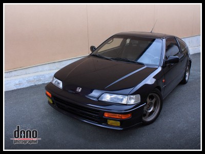 CRX_Dano_02.jpg