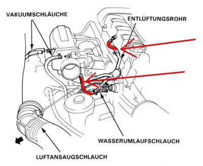 Schläuche.JPG