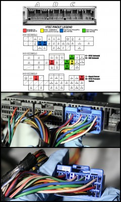 B16A/B17A/B18C VTEC Pinbelegung Steuergerät - Forum: Guides