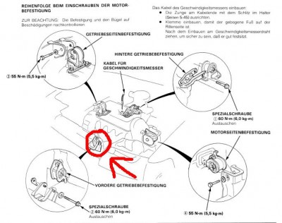 motor_halter.jpg