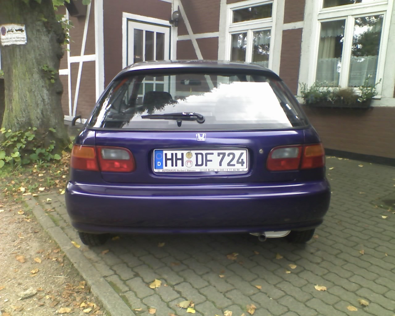 Mein EG3.jpg