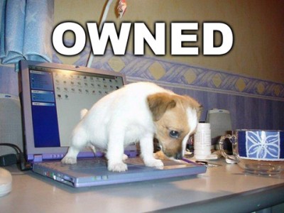 Owned-PuppyPeeLaptop.jpg