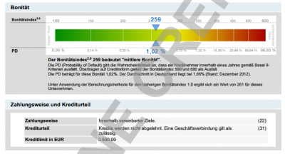 2013-04-12 13_02_14-Selbstauskunft_503.0639305_4234839216096526628.pdf.png